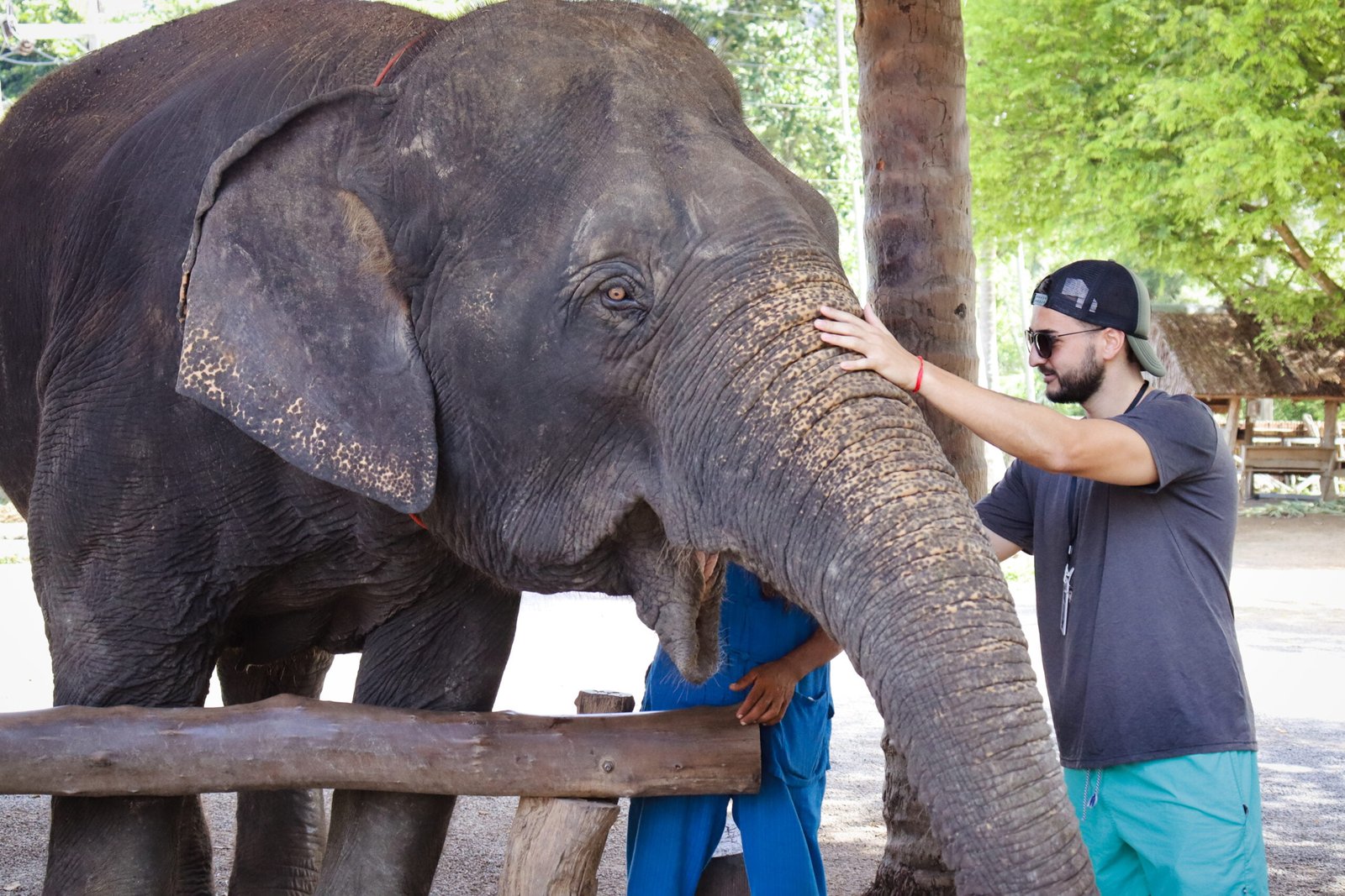 Krabi Elephant Sanctuary